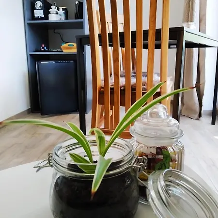 **auszeit Am Kaiser** Apartment *